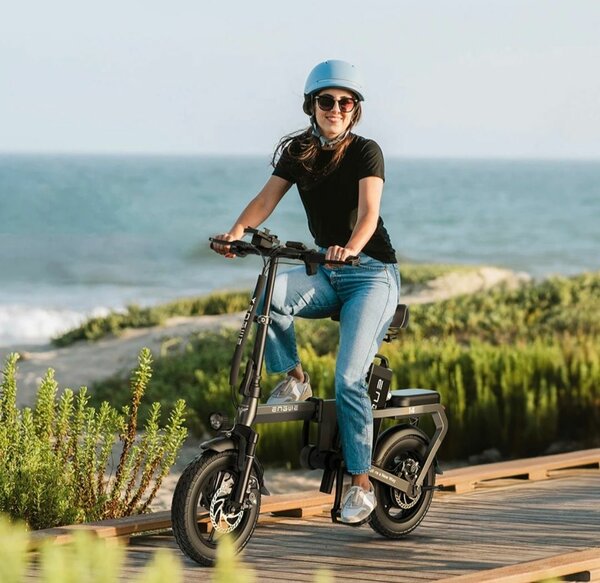 Folding Electric Bike,400W