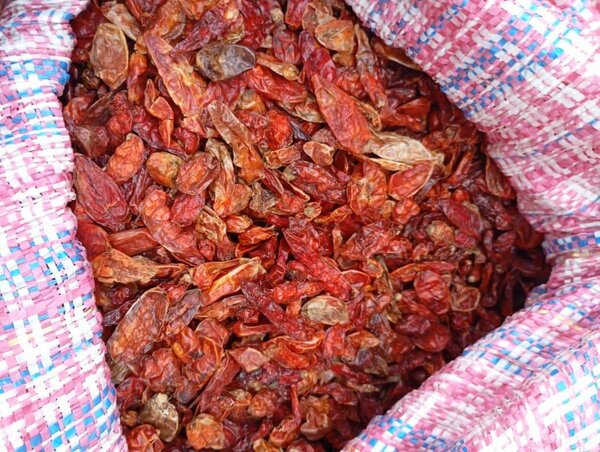 Piments séchés épicés