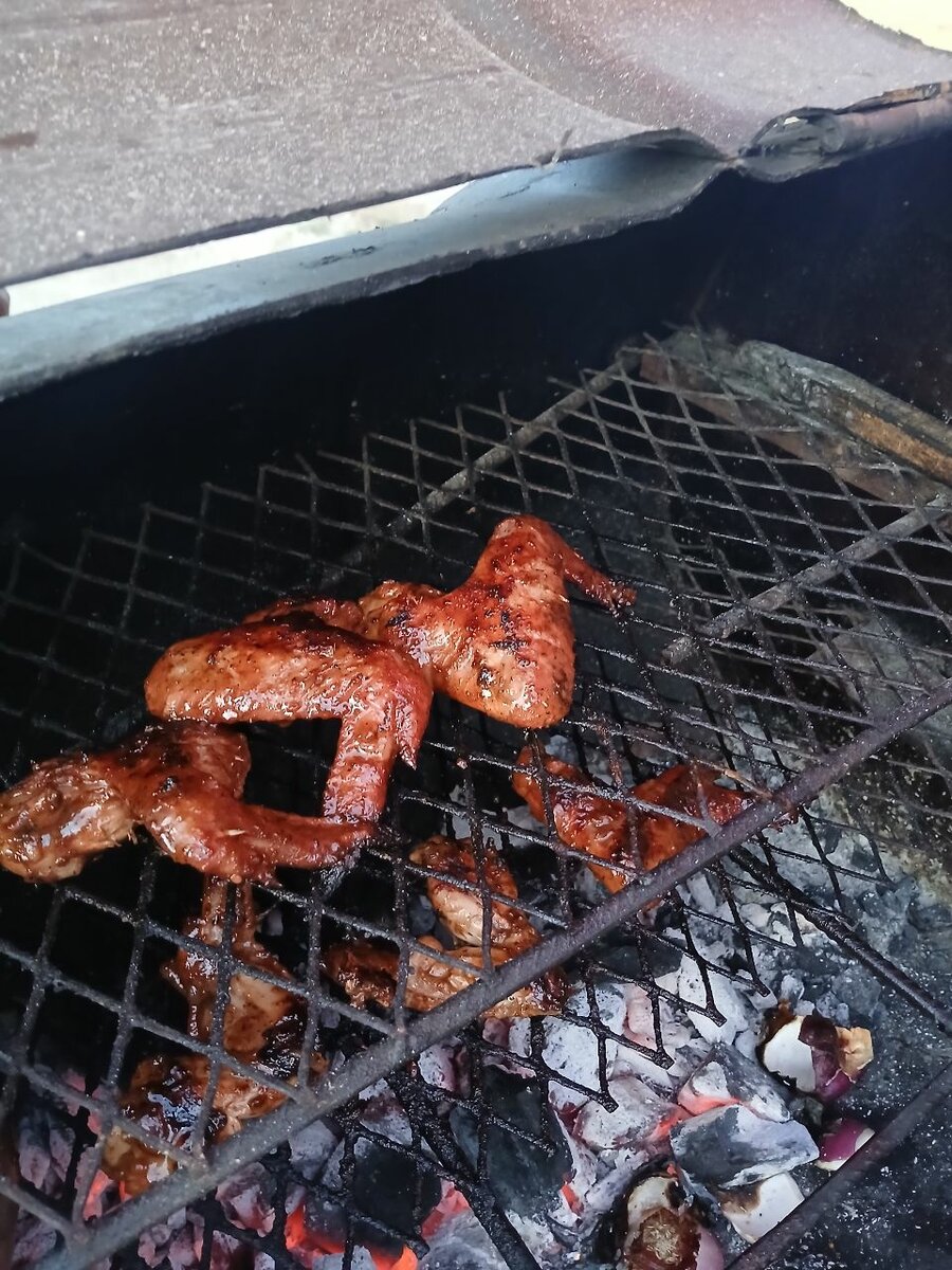 Chicken Wings withs Fries