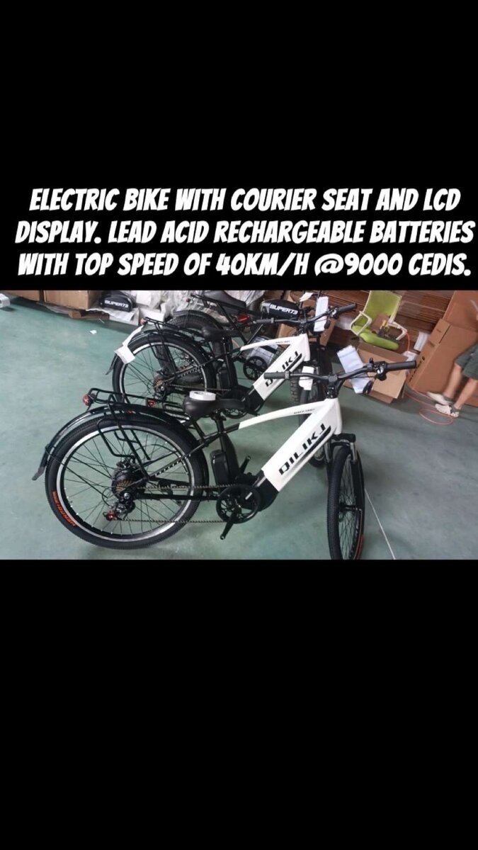 Electronic bike