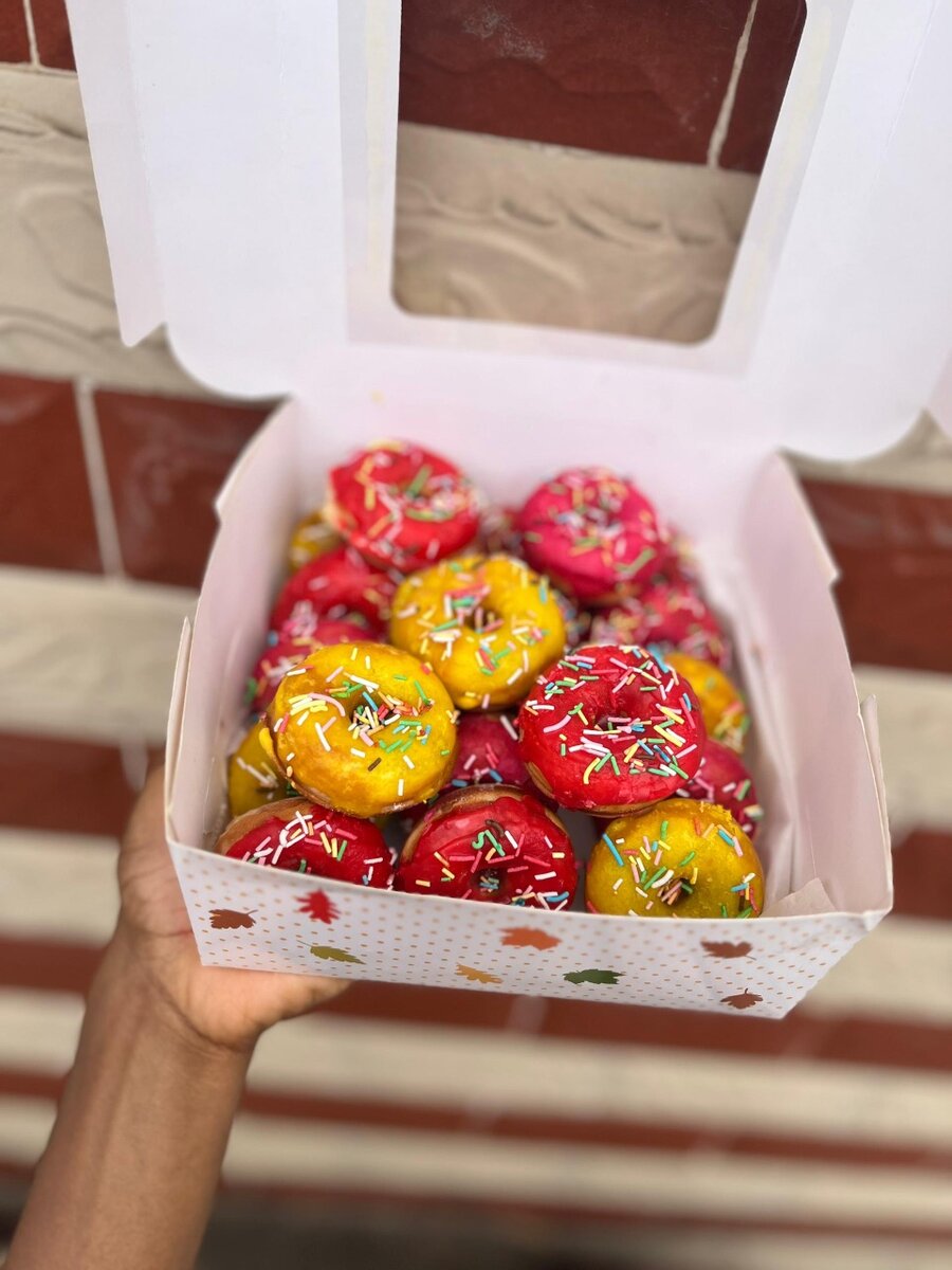 MINI DONUTS COLORÉS (20)