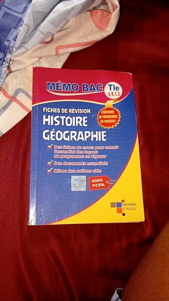 Mémo Bac Histoire-Géo Terminale