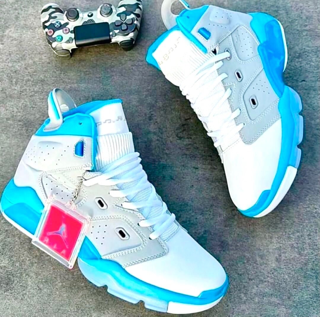 Air Jordan 6