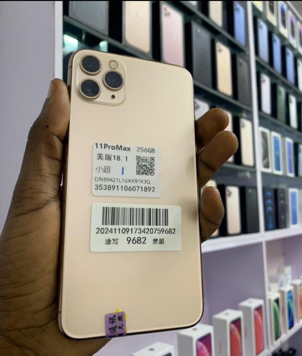 11 pro max 256gig