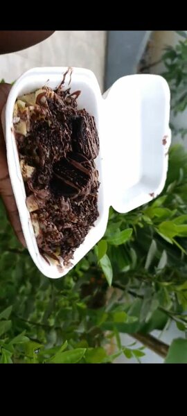 Tagliatelles complète