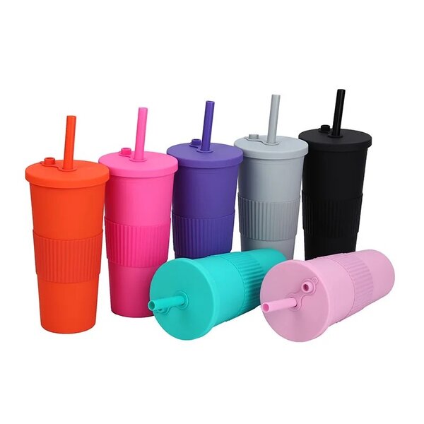 24oz Plastic Insulated Tumbler