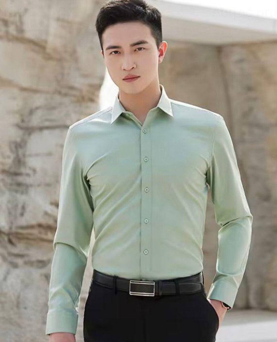 Chemise Classique Homme Élégante