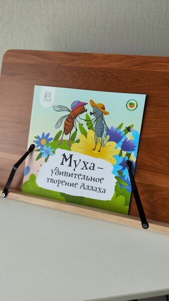 Удивительные творения Аллаха