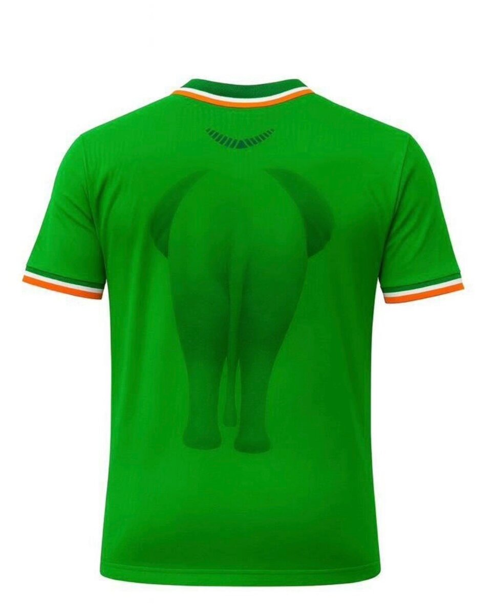 Maillot Éléphant Vert Puma