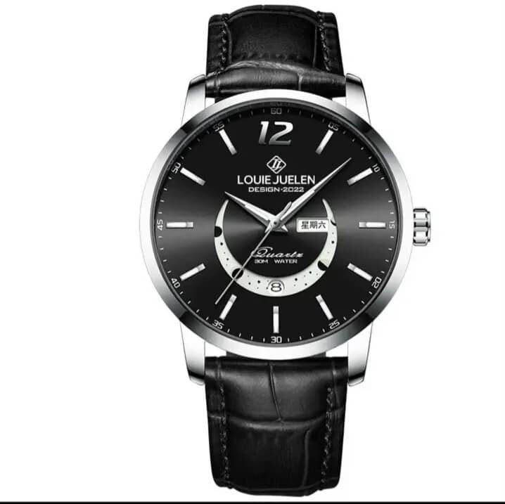 Montre Homme Élégante Louie