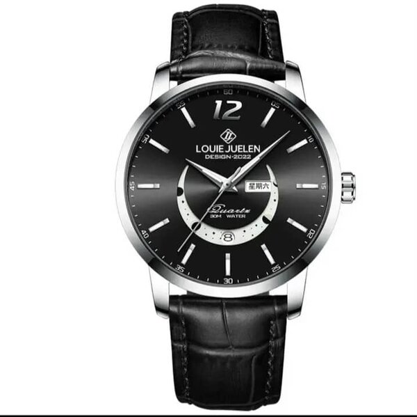 Montre Homme Élégante Louie