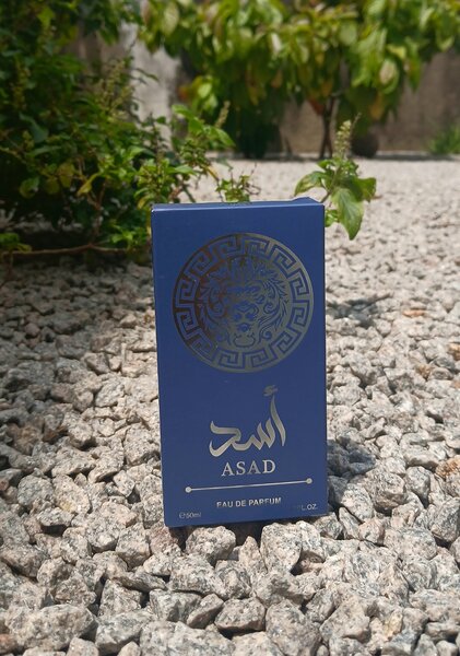 Parfum Asad Édition Luxe