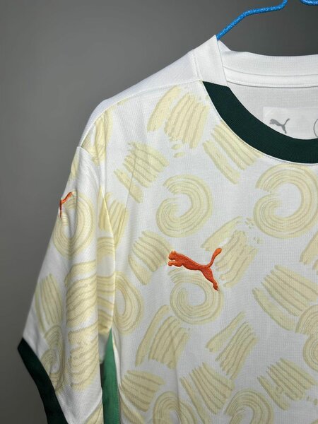 Maillot de football ivoirien