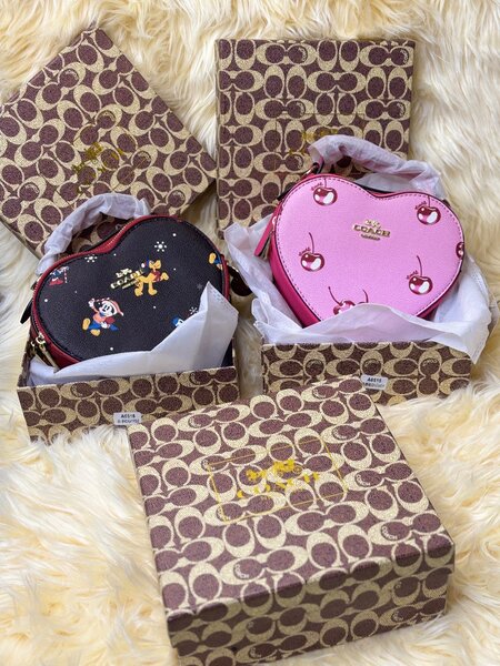 Sac de mode coach