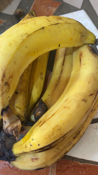 Plat de Semoule et Sauce