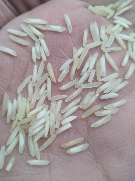Kainat Steam Rice