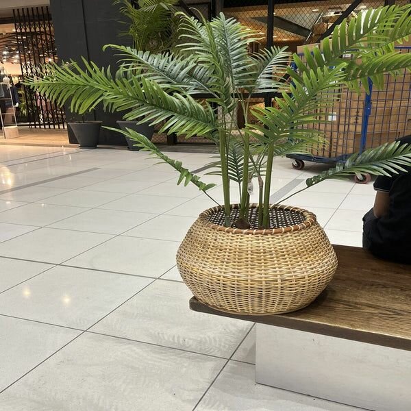 Cane basket,planter