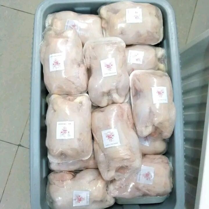 Poulets robustes sadia volailles
