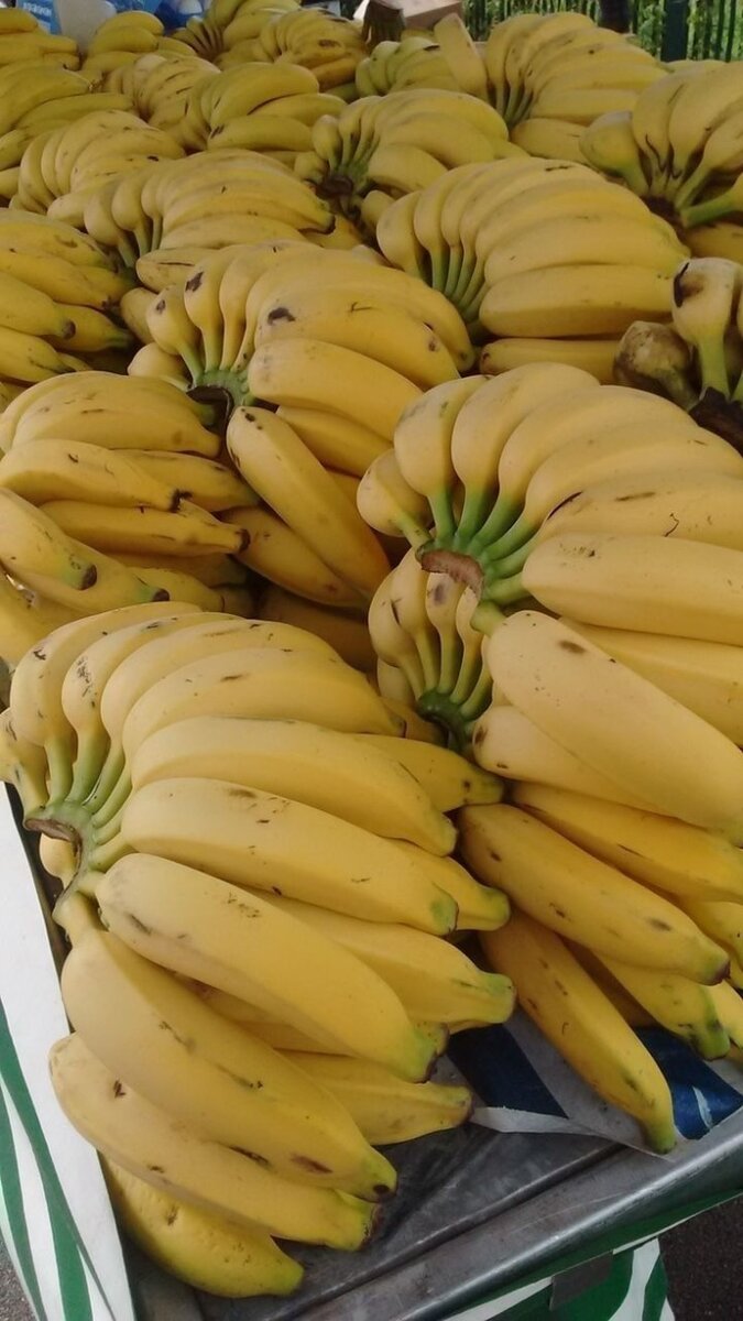 Bananas