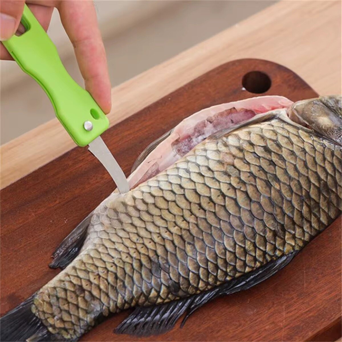 Écailleur à poisson + Lame