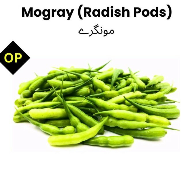 Radish Pods | Mongray 