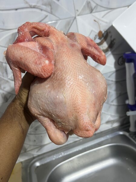 Poulet Frais de Qualité