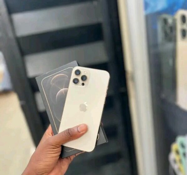 12 pro max  5G moderne