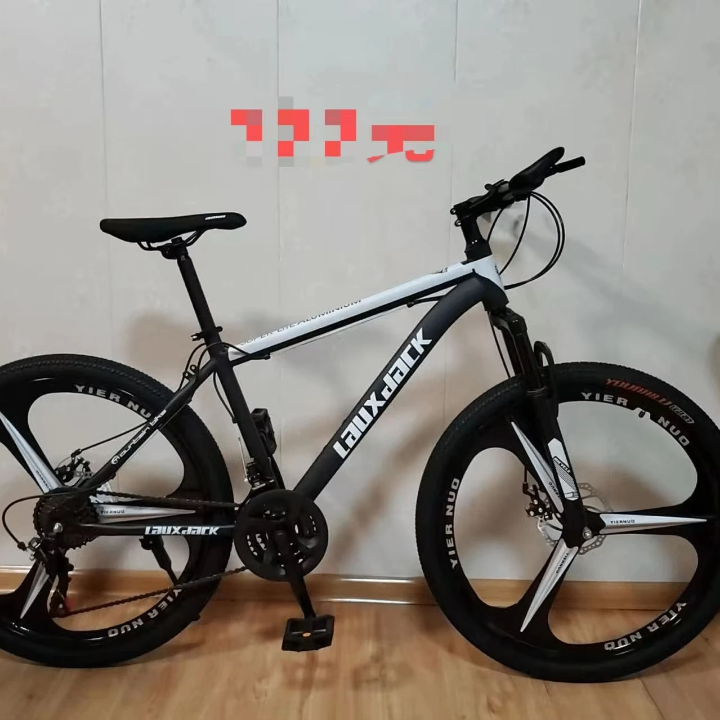 Vélos tout-terrain électriques