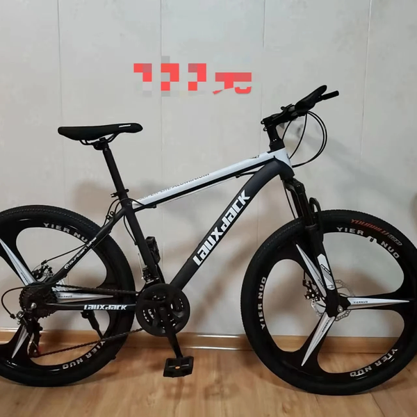 Vélos tout-terrain électriques