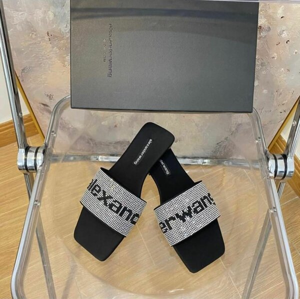 Alexander wang slippers