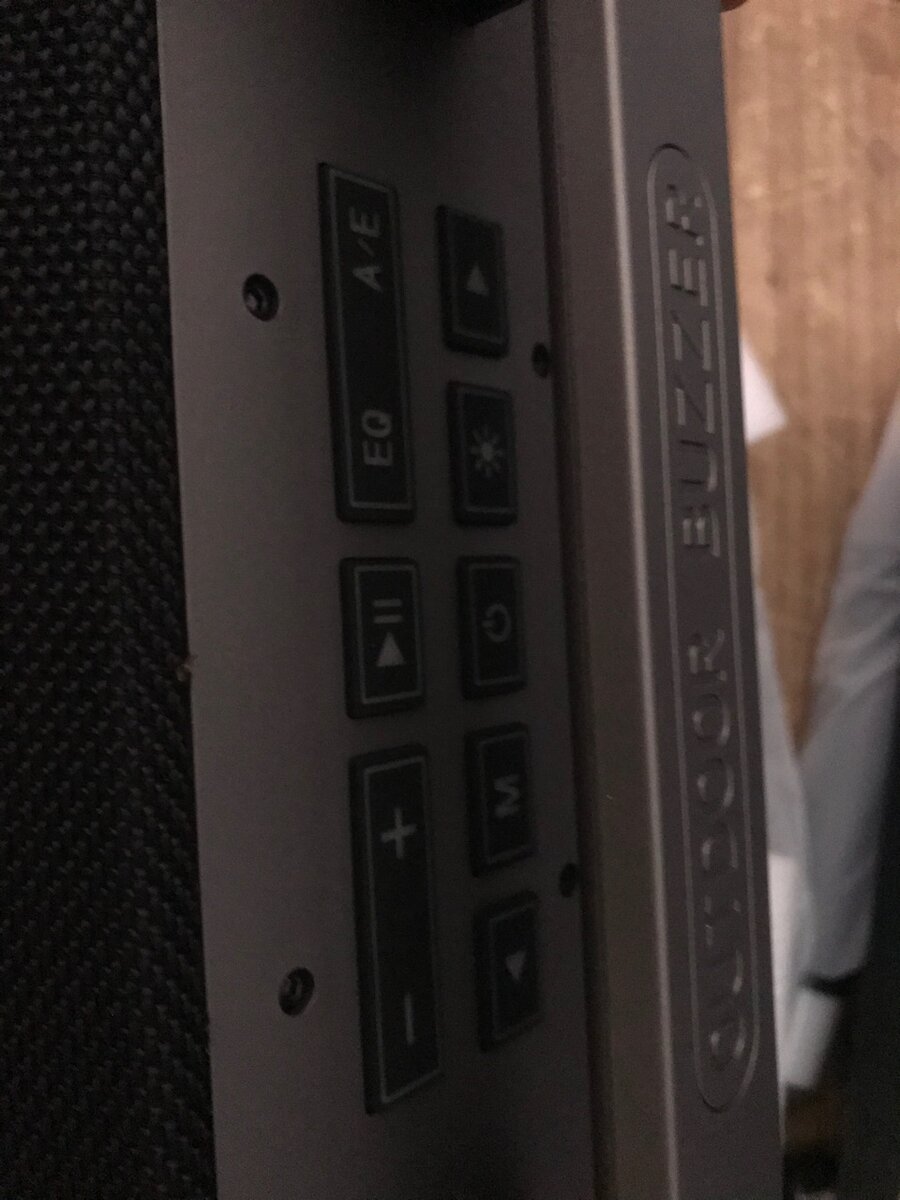 BigKaraoke Speaker with 2 mics