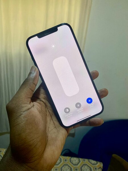 IPHONE 12 PRO MAX