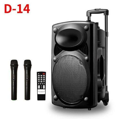 Enceinte Bluetooth Karaoke Portable