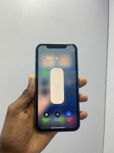 iPhone XR Bleu