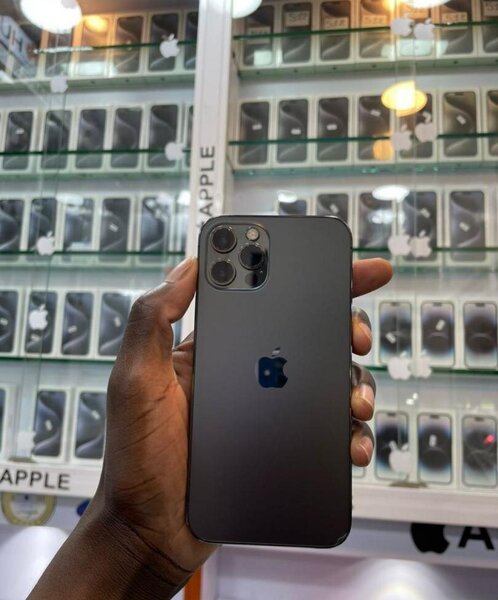 iPhone 12 Pro Max Gris