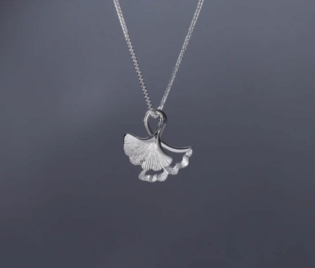 Chain with pendent Silver