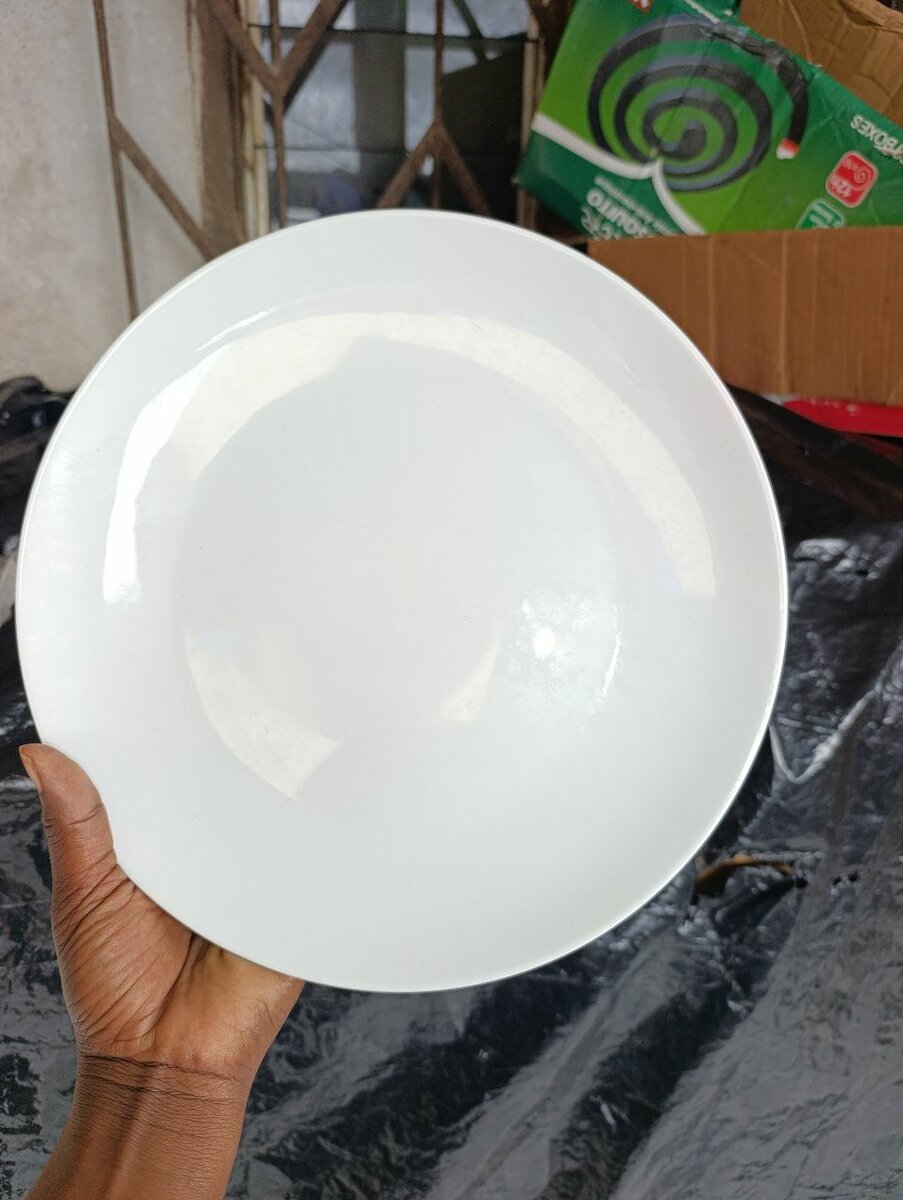 Assiette en Porcelaine  26cm