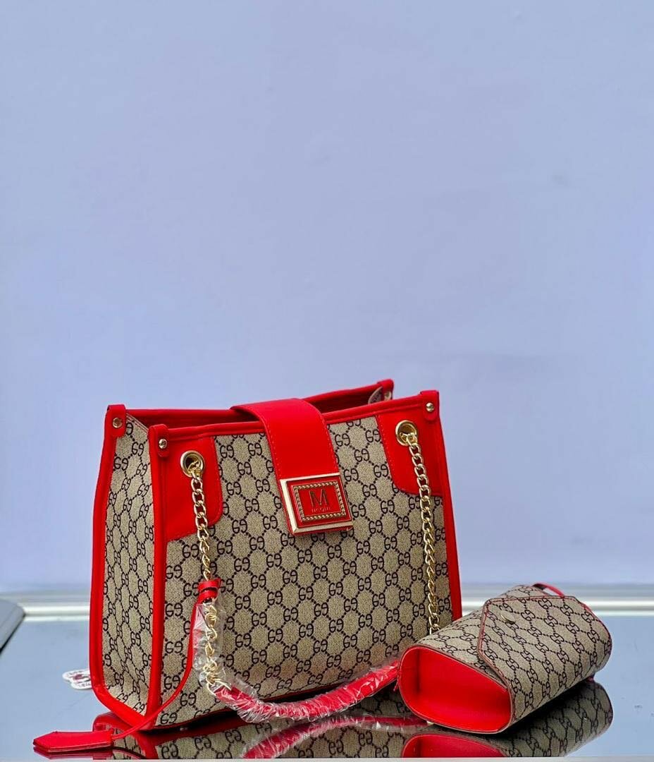 2 in 1 gucci bag