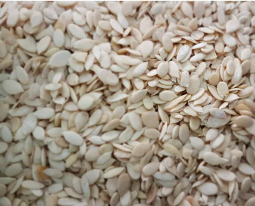 Melon Seeds | خربوزہ کے بیج Fresh Chaar Maghaz 100gm | 100% Pure & Natrual | Premium Quality | Fresh Stock تخم خربوزہ