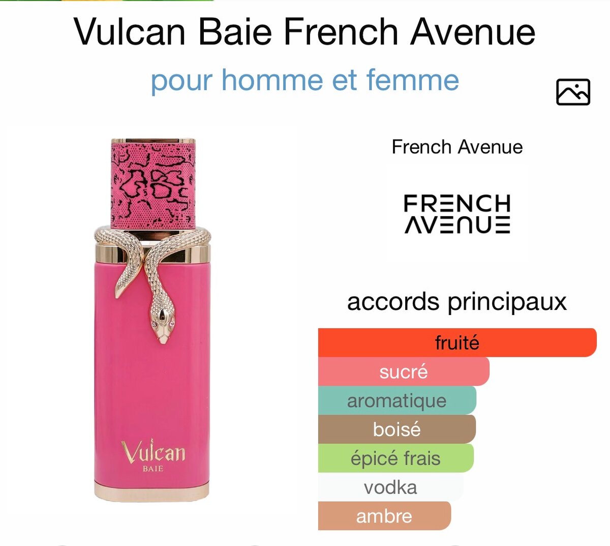 Parfum Vulcan Baie Mixte