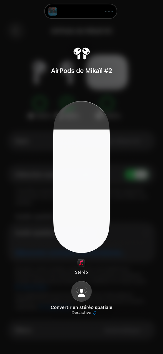 Écouteurs Bluetooth Sans Fil
