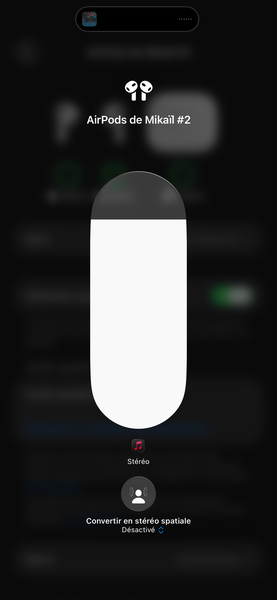 Écouteurs Bluetooth Sans Fil
