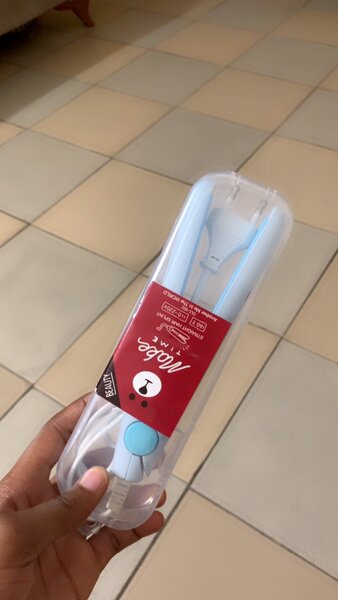 Mini fer à lisser portable