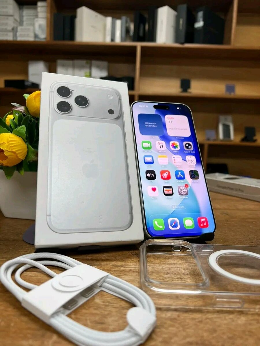 iPhone 17 Pro Max 256 Go