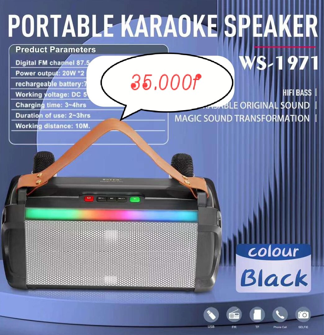 Subwoofers portable karaoké