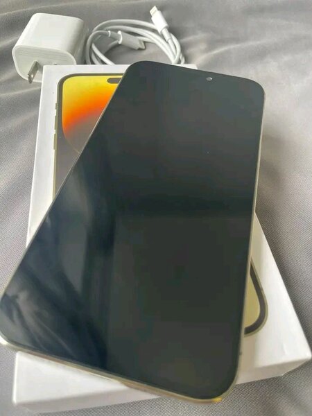 iPhone 14 Pro Max 256 Go