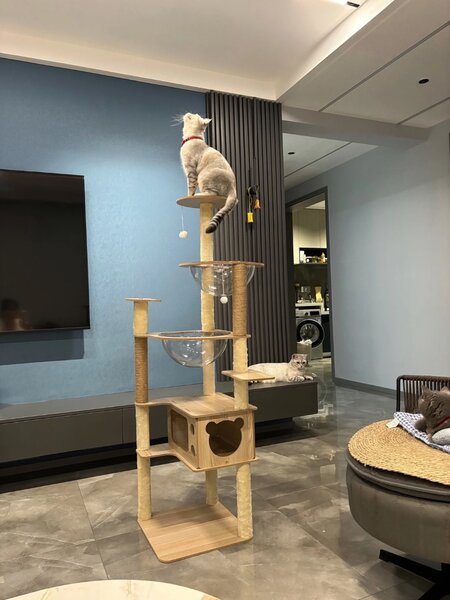 Домик для кошек