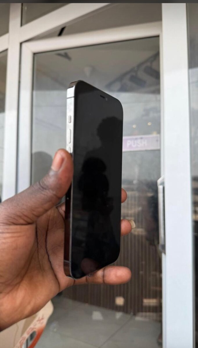 iPhone 13 pro max 256 gb