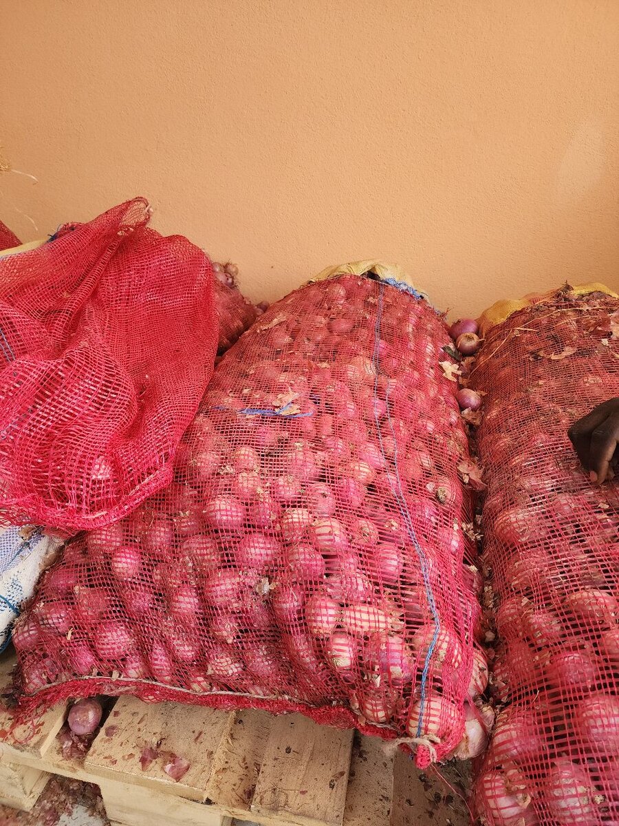 DORK légumes et fruits