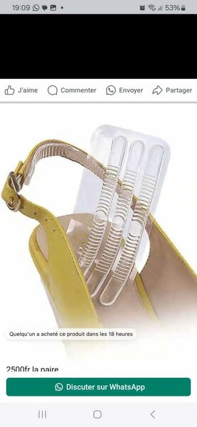 Protecteurs de Lanières de Chaussures